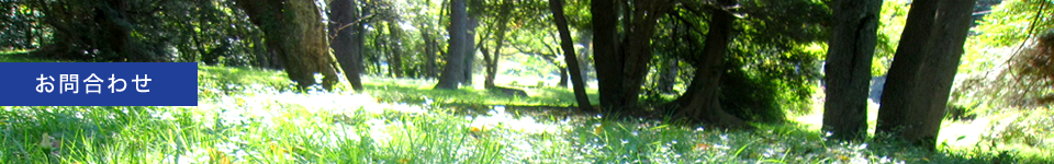 ���⍇�킹�t�H�[��